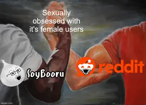 auw8nb.jpg