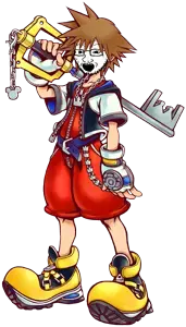 soyjaksora.png