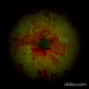 amphibian-laughing-online-video-cuttercom_EkvqO32z.mp4