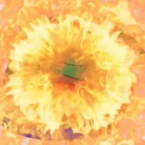 amphibianlaff.mp4