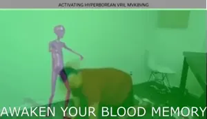 nikocado.mp4
