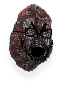 soy raisin.png