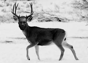 giga deer.png