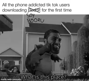 tiktok.png