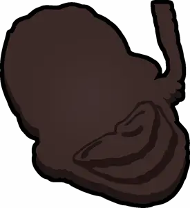 jartygender.png