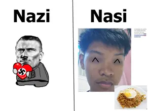 Nazi vs Nasi.png