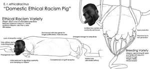 ethical raycist.jpg