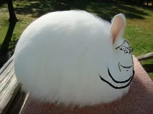 fluffybunnygapejak.png