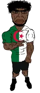 1A1A2a22a111q111112A23-pigg.png