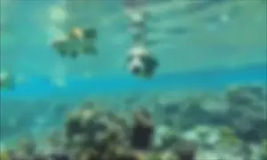 ssstik.io_@leviathangodofgluttony_1780753593041.mp4