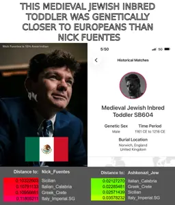paul-miller-gypsy-crusader-is-genetically-closer-to-v0-dpfkkmlgw7og1.jpg