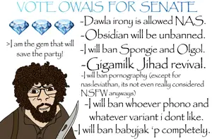 VOTE OWAIS FOR SENATOR (1).png