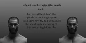 senaterun.png