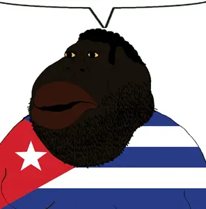 E.png