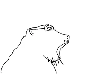 baboonjak.jpg
