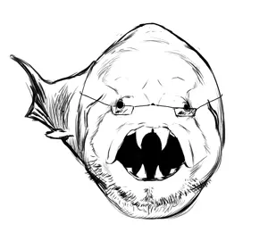 HLmSsdSW0AE6arF.png