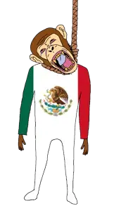 1781 sin título_20260629163430.png