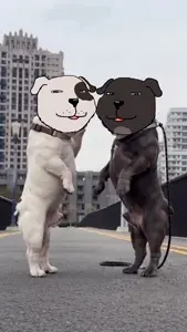Untitled 70.mp4