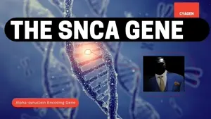 sncagene.jpg