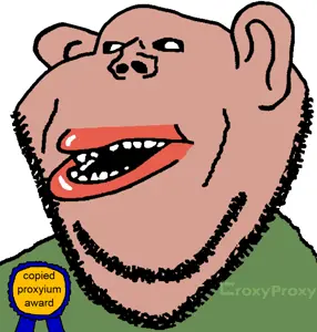 croxyproxy.png