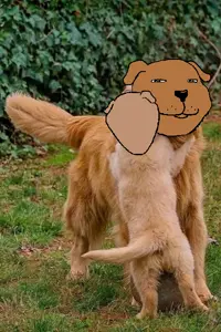 dogandmom.png