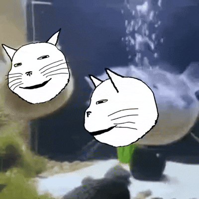 gapejak, massjak, massmeowjak, wholesome soyjak, animaljaks, 2soyjaks, animal, animal ears, animated, black eyes
