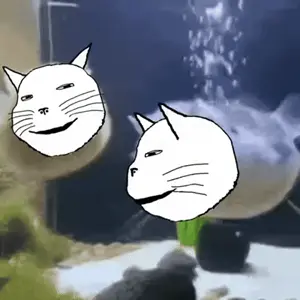 copy_DF455788-2C2B-422F-A03C-63444BB43C70.gif