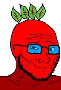 broot soyak.png