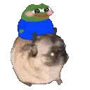 pepe.gif