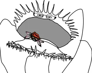 Untitled432_20260701120252.png