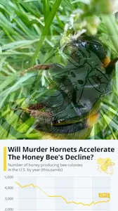 bees lost.png