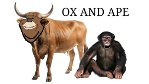OX AND APE..png