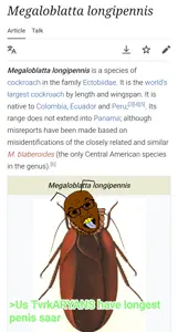 IMG_20260703_093314.png
