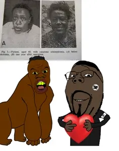 ddfvbe.jpg