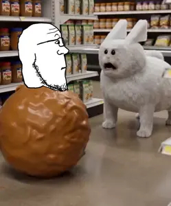 Untitled1416_20260704035841.png