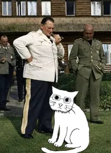 CATJAK.png