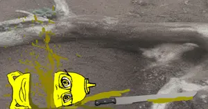 DNBMUST - Copy.png