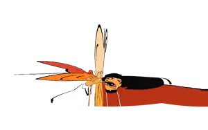 2 Sem Título_20260704135851.png