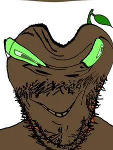 ClipboardImage (23).png