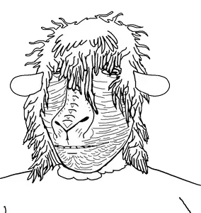 sheephair.png