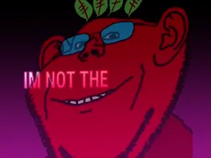 broot tsundere edit.mp4