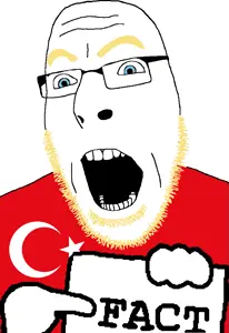 turkiye fact 2.png