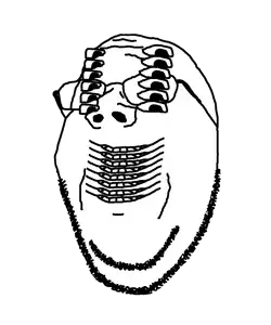 cursed gape.png