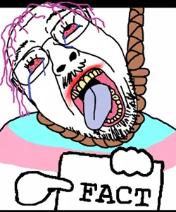 Tranny image croped.gif