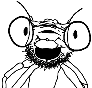 dragonflyjak.png