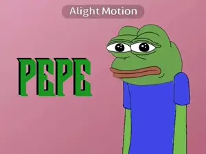 videoplayback (4).mp4