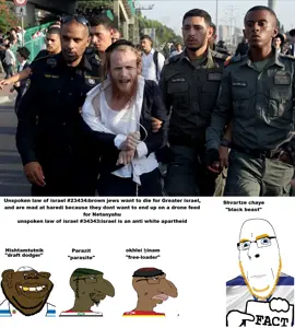 2416595-haredi-protester-arrested-israel.png