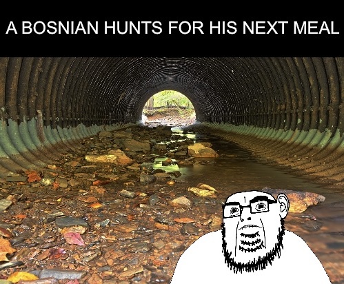 cobson, blobgol, blobson, hornyolgol, hornyson, olgolstein, proud olgolian, irl pics of bosnia, proud olgolians, 1soyjak