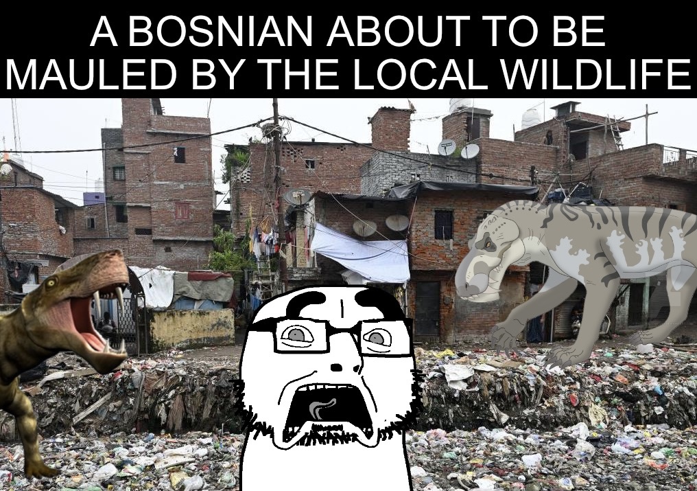 cobson, olgolstein, doctos, irl pics of bosnia, namefags getting attacked by prehistoric animals, 1soyjak, animal, bald, bosnia, bushy eyebrows