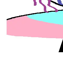 6.png